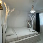 1881 ألاتشاتي