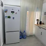 1881 * ألاتشاتي