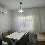 1881 ألاتشاتي