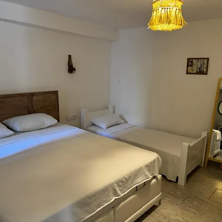 1881 * ألاتشاتي